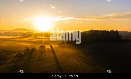 Sonnenaufgang wirft lange Schatten über Nebelfelder und Bäume Stockfoto