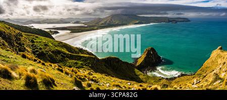 Panorama über Allans Beach von Sandymount, Otago Peninsula, Dunedin, Otago, Südinsel, Neuseeland Stockfoto