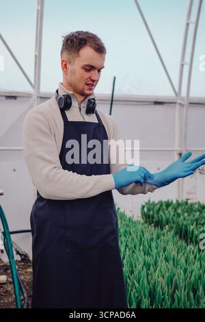 Junger Gärtner, der Handschuhe und Schürze trägt, bereitet sich auf die Arbeit in einem Gewächshaus voller lebendiger grüner Pflanzen vor und zeigt Hingabe für Stockfoto
