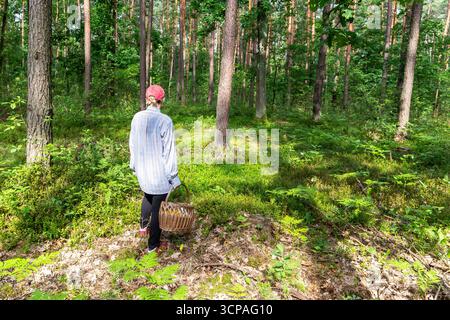 Frau mit einem Korb, die Pilzjagd in einem Wald in Polen macht. Stockfoto