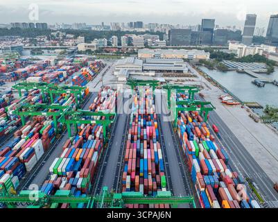 Singapur, Singapur - 06. Dezember 2024: Aus der Vogelperspektive des Pasir Panjang Terminals zeigt ein lebhaftes Wandteppich aus farbenfrohen Schiffscontainern, ein Zeugnis für den Welthandel vor der Skyline der Stadt. Stockfoto