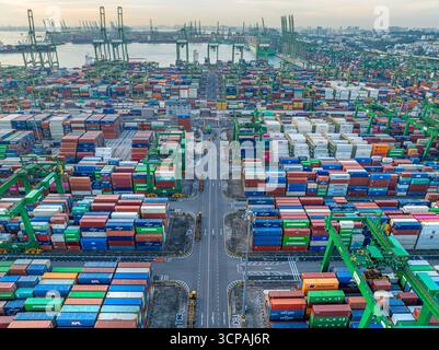 Singapur, Singapur - 06. Dezember 2024: Aus der Vogelperspektive des Pasir Panjang Terminals, ein lebhafter Wandteppich aus gestapelten Containern unter hoch aufragenden Kränen vor einer trüben Skyline. Stockfoto