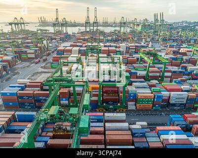 Singapur, Singapur - 06. Dezember 2024: Aus der Vogelperspektive auf das Pasir Panjang Terminal, wo eine Symphonie aus farbenfrohen Schiffscontainern vor dem Hintergrund hoch aufragender Kräne ein lebendiges Mosaik erzeugt. Stockfoto