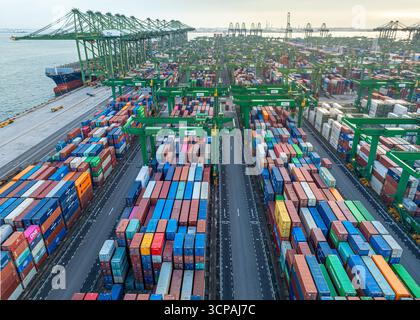 Singapur, Singapur - 06. Dezember 2024: Aus der Vogelperspektive des Pasir Panjang Terminals offenbart sich ein weitläufiges Wandteppich aus bunten Containern unter dem wachsamen Blick hoch aufragender Kraniche. Stockfoto