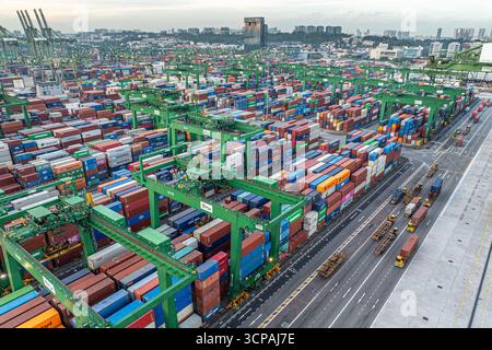 Singapur, Singapur - 06. Dezember 2024: Aus der Vogelperspektive des Pasir Panjang Terminals, einer Symphonie von gestapelten Containern unter weitläufigen grünen Kränen, die sich gegen die Skyline der Stadt erheben. Stockfoto