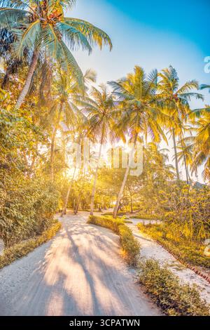 Majestätischer tropischer Inselweg bei Sonnenuntergang glühende Rochen durch Palmblätter und Bäume, entspannende exotische Naturlandschaft und friedliche paradiesische Landschaft Stockfoto