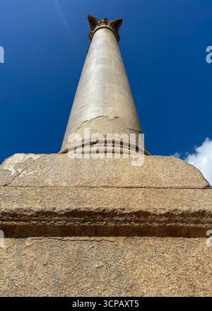 Alexandria, Ägypten – 13. Februar 2025: Römische Triumphsäule aus Granit, bekannt als Pompejus-Säule, steht am alten Serapeum von Alexandria in Ägypten. Stockfoto