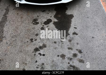 Parkölflecken in Spanien. Bodenverschmutzungsproblem. Ölflecken auf Asphaltflächen. Stockfoto