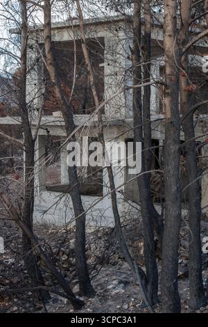 Nach den tragischen Sommerbränden und Waldbränden wurden Gebäude und Wälder auf der griechischen Insel Zante oder Zakynthos durch Feuer beschädigt. Stockfoto
