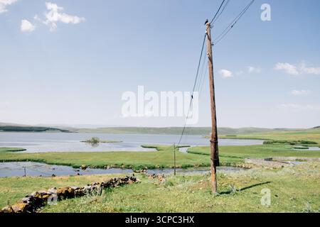 Paravani Lake, Javakheti, Georgia. 18. Juli 2020. Krähen auf Drähten am Seeufer Stockfoto