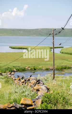 Paravani Lake, Javakheti, Georgia. 18. Juli 2020. Krähen auf Drähten am Seeufer Stockfoto