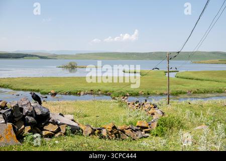 Paravani Lake, Javakheti, Georgia. 18. Juli 2020. Krähen auf Drähten am Seeufer Stockfoto