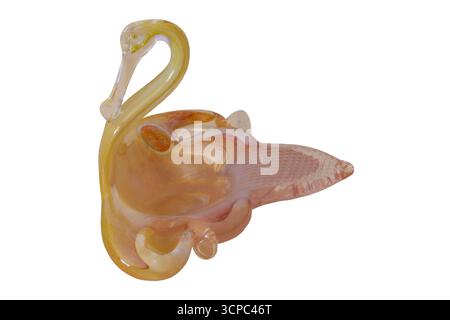 Murano Glaswaren isoliert auf weißem Hintergrund - Glaswaren aus Murano, Italien, Italienisch Stockfoto