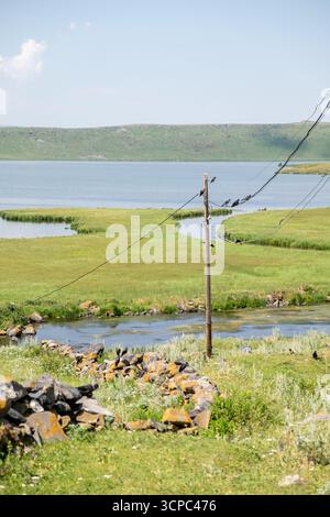 Paravani Lake, Javakheti, Georgia. 18. Juli 2020. Krähen auf Drähten am Seeufer Stockfoto
