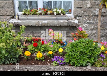 Hobbygärtnerei in Adare, Irland. Ringelblumen, Hortensie, Dahlien und campanula-Blüten. Stockfoto