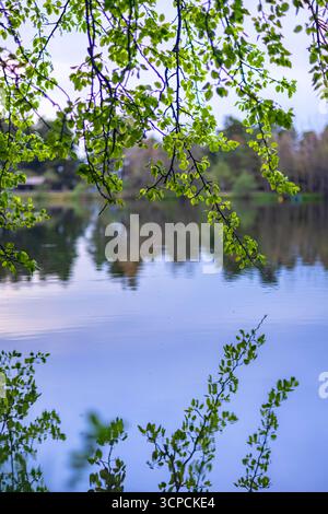 Tauchen Sie ein in die Ruhe der Natur mit diesem fesselnden Bild eines ruhigen Sees inmitten von grünen Hügeln und üppigem Laub. Stockfoto
