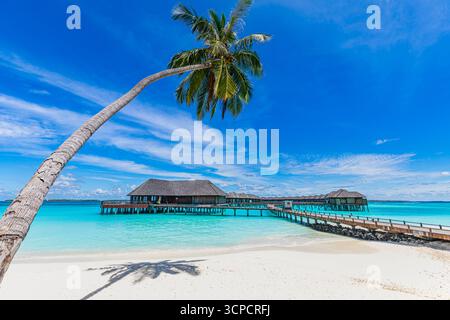 Luxuriöser sonniger Malediven Resort Bungalow und Palmen über fantastischem blauen Himmel und Wolken reflektieren landschaftlich beliebten Sommertourismus Reiseziel Stockfoto