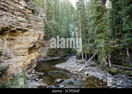 Rocky River, der durch den Canyon fließt, und die Kiefern bei Sonnenaufgang in Big Sky, Montana Stockfoto