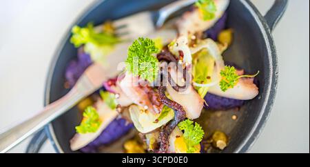 Luxuriöse Gourmet-Oktopus-Vorspeise aus der Nähe, elegantes feines Meeresfrüchte-Gericht, künstlerische kulinarische Präsentation, Premium-Restaurant-Essenshintergrund Stockfoto
