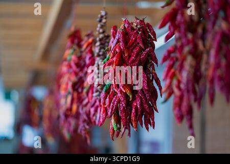Es gibt eine traditionelle Methode, die von Bauern und Hausköchen verwendet wird, um die Paprika für die Zukunft zu konservieren Stockfoto