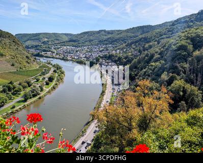 Blick Auf Die Mosel Vom Schloss Cochem. Blick auf das Moseltal an Einem sonnigen Herbsttag. Stockfoto