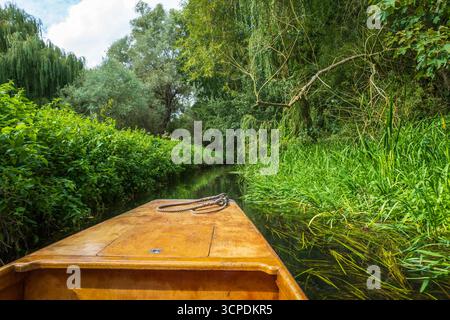 Seil am Bug eines hölzernen Punt, der durch das üppige Grün des Flusses Stour in Canterbury, Kent, Großbritannien fährt. Stockfoto