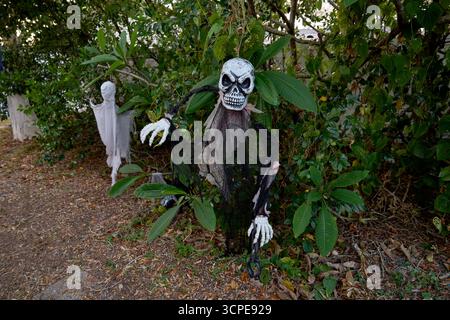 Zerrissene, schwarz getarnte Schädelfigur mit Ketten steht zwischen Büschen und Blättern. Gruselige Gartendekorationsszene mit Geistern und Laub bei Tageslicht. Stockfoto