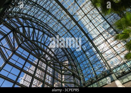 Winter Garden Atrium mit Wolkenkratzern durch die Glasdecke, New York City Stockfoto