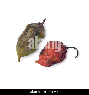 Zwei überreife Chilischoten in rot und grün isoliertem weißem Hintergrund, Makroansicht von verworfenem Gemüse oder Abfallgemüse von oben Stockfoto