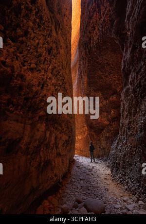 Echidna Chasm in der einzigartigen Landschaft der Bungle Bungles (Purnululu National Park), Kimberley Region, Western Australia. Stockfoto