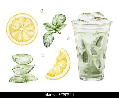 Aloe Vera Scheiben, Zitronenscheiben, Minzblätter und ein Glas Kräuterlimonade mit Eiswürfeln. Isoliertes Clipart-Set mit Wasserfarben für Sommergetränke und Cocktails Stockfoto