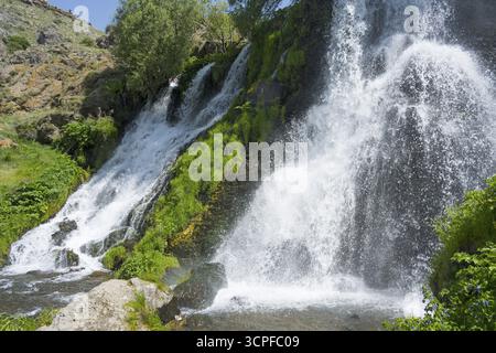 Ein rauschender Wasserfall fließt über moosbedeckte Felsen in einer grünen Umgebung, Shaki Wasserfall, Shaki, Provinz Syunik, Armenien Stockfoto