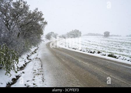 Verschneite Landstraße mit schneebedeckten Bäumen und Feldern an einem kalten Wintertag, April, Pasayigit, PaSayiGit, Edirne Türkei Stockfoto
