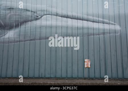 Wandgemälde eines Wals und ein Parkverbot an der Seite eines Lagerhauses in Downtown Portland, ICH. Stockfoto