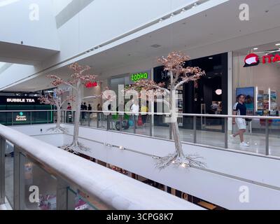 Posen, Polen - 20. September 2025: Blick auf ein geräumiges, zeitgenössisches Einkaufszentrum mit einzigartigen Hängebäumen und geschäftigen Menschen Stockfoto