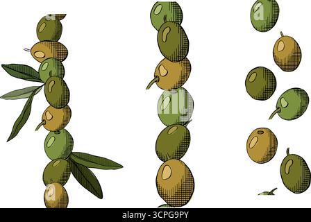 Vertikales Set aus Olivenbeeren und Blättern mit nahtlosem Rand. Vektorgrafik Linie farbige Illustration. Griechische Ölernte. Verpackungsdruck für Lebensmitteldesign Stock Vektor