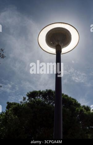 Scheibenförmige Laternenpfosten zwischen Kiefern, ausgeschaltet und mit der Sonne dahinter, die den Effekt erzeugt, an einem bewölkten Tag eingeschaltet zu werden. Stockfoto