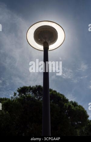 Scheibenförmige Laternenpfosten zwischen Kiefern, ausgeschaltet und mit der Sonne dahinter, die den Effekt erzeugt, an einem bewölkten Tag eingeschaltet zu werden. Stockfoto