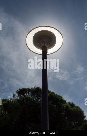 Scheibenförmige Laternenpfosten zwischen Kiefern, ausgeschaltet und mit der Sonne dahinter, die den Effekt erzeugt, an einem bewölkten Tag eingeschaltet zu werden. Stockfoto