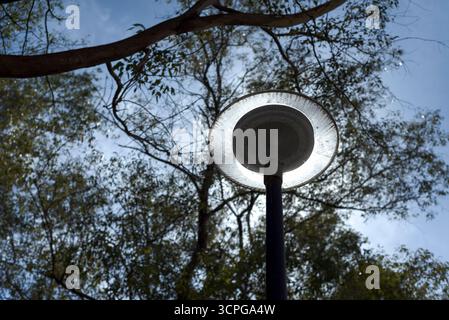 Scheibenförmige Laternenpfosten zwischen Kiefern, ausgeschaltet und mit der Sonne dahinter, die den Effekt erzeugt, an einem bewölkten Tag eingeschaltet zu werden. Stockfoto