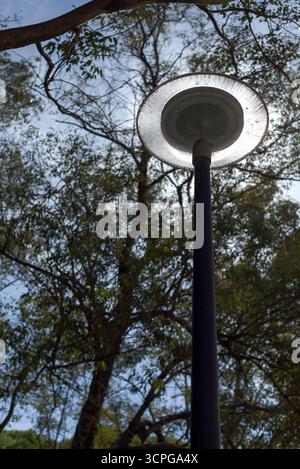 Scheibenförmige Laternenpfosten zwischen Kiefern, ausgeschaltet und mit der Sonne dahinter, die den Effekt erzeugt, an einem bewölkten Tag eingeschaltet zu werden. Stockfoto