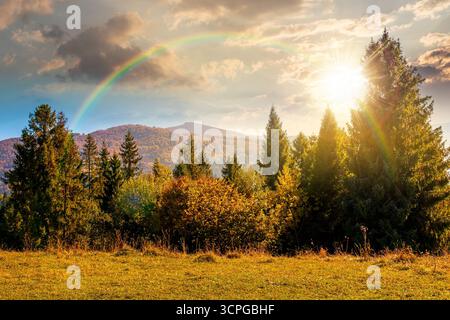 Landschaft mit Nadelwald hinter der Wiese im Herbst bei Sonnenuntergang. Naturhintergrund mit blauem Himmel und Bergrücken im Abendlicht. alpine AA Stockfoto