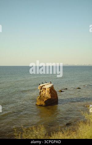 Einsamer Küstenfelsen im Ozean. Hochwertige Fotos Stockfoto