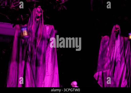 Ein Skelett-Sensenmann in zerrissenen Gewändern hält eine leuchtende Laterne. Sattes magentafarbenes Licht unterstreicht die gruselige Halloween-Figur. Stockfoto