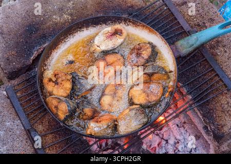 In Scheiben geschnittener Fisch in heißem Öl in einer Pfanne auf dem Feuer gekocht. Gebratener Flussfisch in einer gusseisernen Pfanne auf heißer Asche vom Feuer draußen Stockfoto