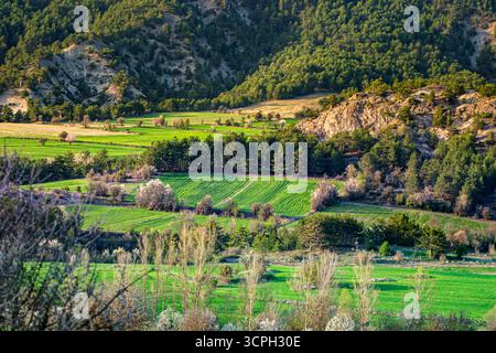 Ein malerischer Blick auf die Landschaft mit üppigen grünen Feldern, die von dichten Wäldern und zerklüfteten Hügeln umgeben sind. Die Landschaft zeigt die Harmonie der Natur in der Sonne Stockfoto