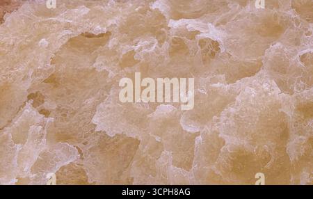Makroaufnahme der bröckeligen Textur von frischem Brot. Die luftige und poröse Struktur wird hervorgehoben. Detaillierte Ansicht des komplizierten Musters des Brotes. Stockfoto