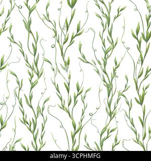 Vertikal kletternde grüne Pflanzen nahtloses Aquarellmuster auf isoliert auf weißem Hintergrund. Üppiger zarter Federstiel mit Blättern Illustration Stockfoto