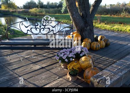 Bezaubernde Herbstszene mit rustikaler Holzterrasse, dekorativer Bank, verschiedenen Kürbissen und lebendigen Chrysanthemen-Blumen an einem ruhigen Fluss. Seaso Stockfoto