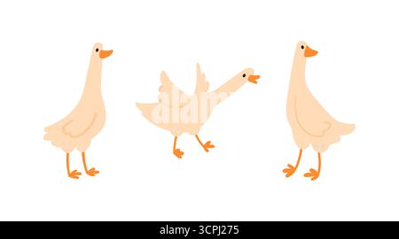 Set aus niedlichen weißen Gänsen mit langem Hals und gewebten Füßen in verschiedenen Posen in schlichtem, flachem Stil, isoliert auf weiß Stock Vektor